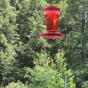 Meet your Posher, Kwihui